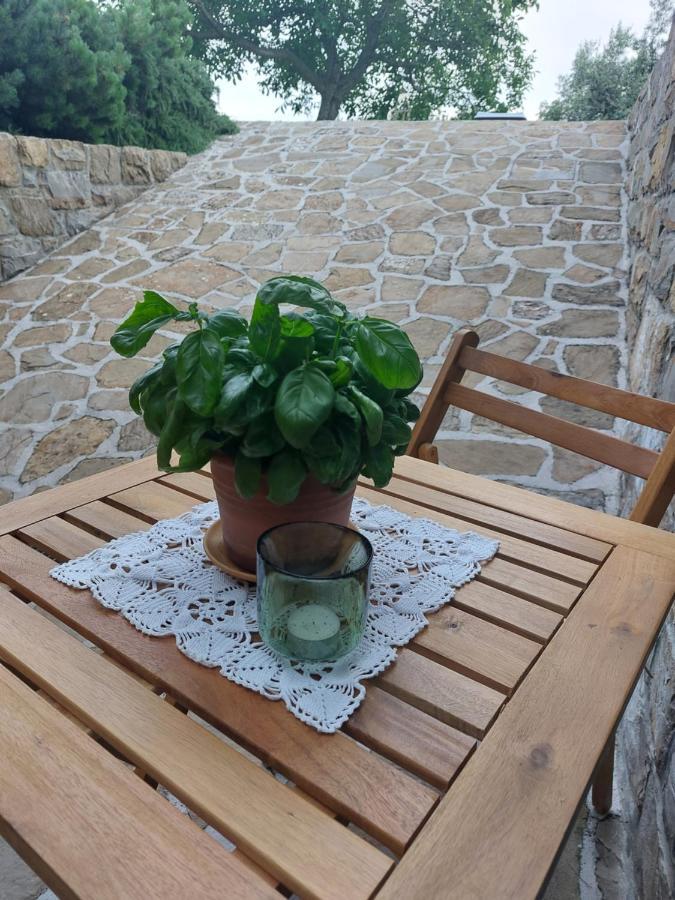 Apartment Kortine Sečovlje Exteriér fotografie